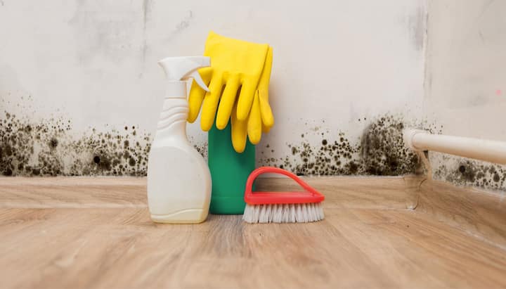 We offer fast and reliable services to help remove and prevent mold growth in your home or business in Anchorage, Alaska