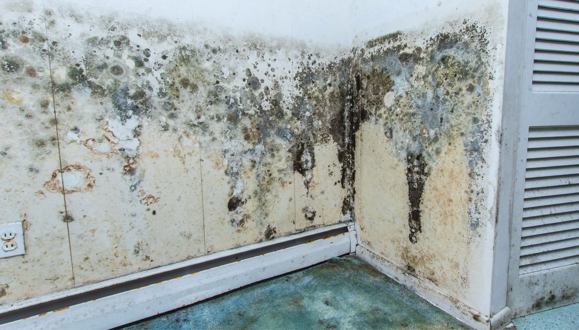 Professional mold removal, odor control, and water damage restoration service in Anchorage, Alaska.