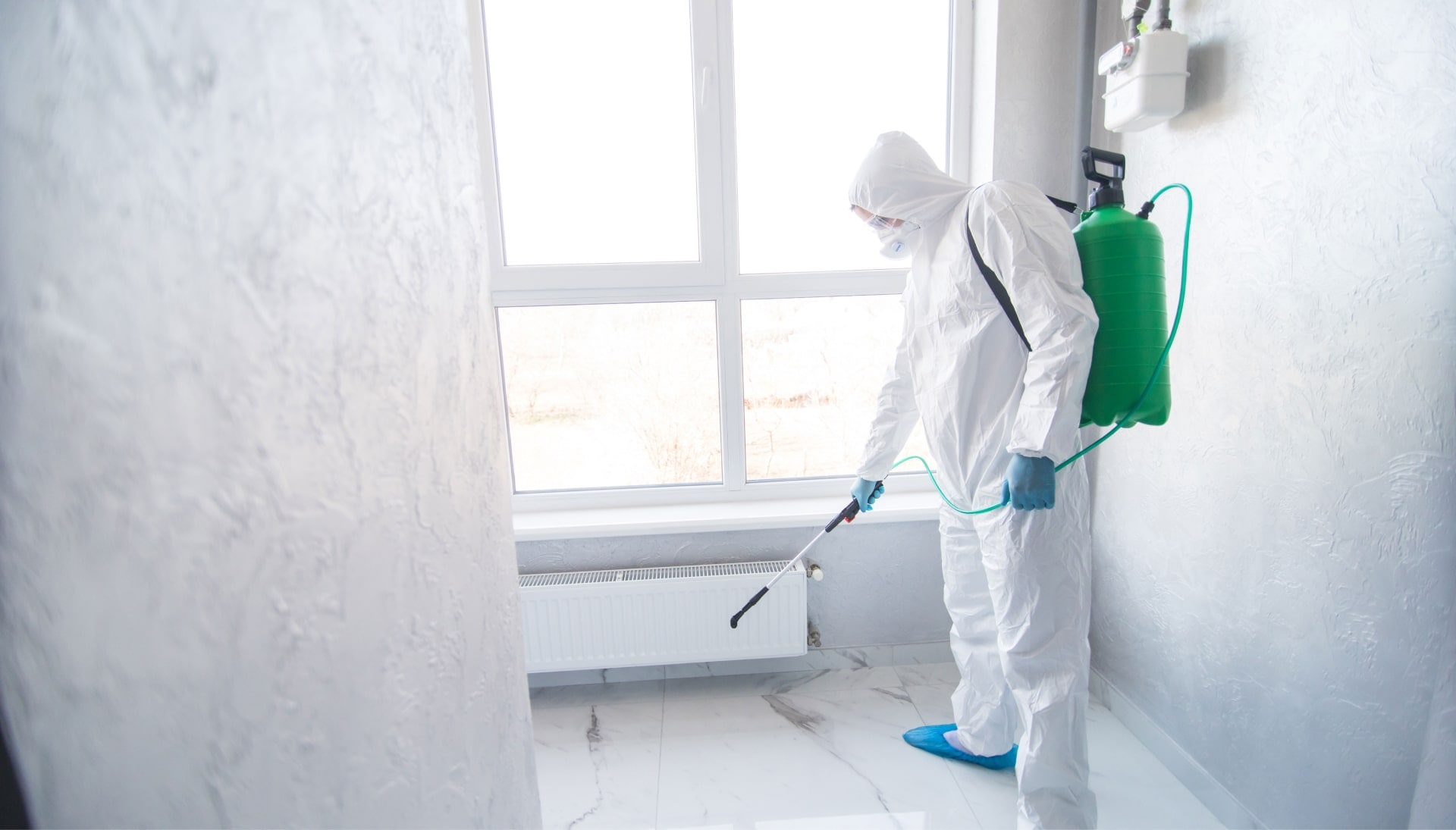We provide the highest-quality mold inspection, testing, and removal services in the Anchorage, Alaska area.